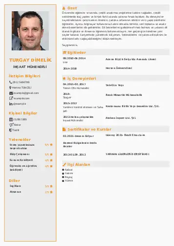 İnşaat Mühendisi Cv Örnekleri cv indir